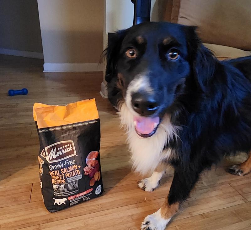 Merrick Grain Free Real Salmon Sweet Potato Recipe Dry Dog Food