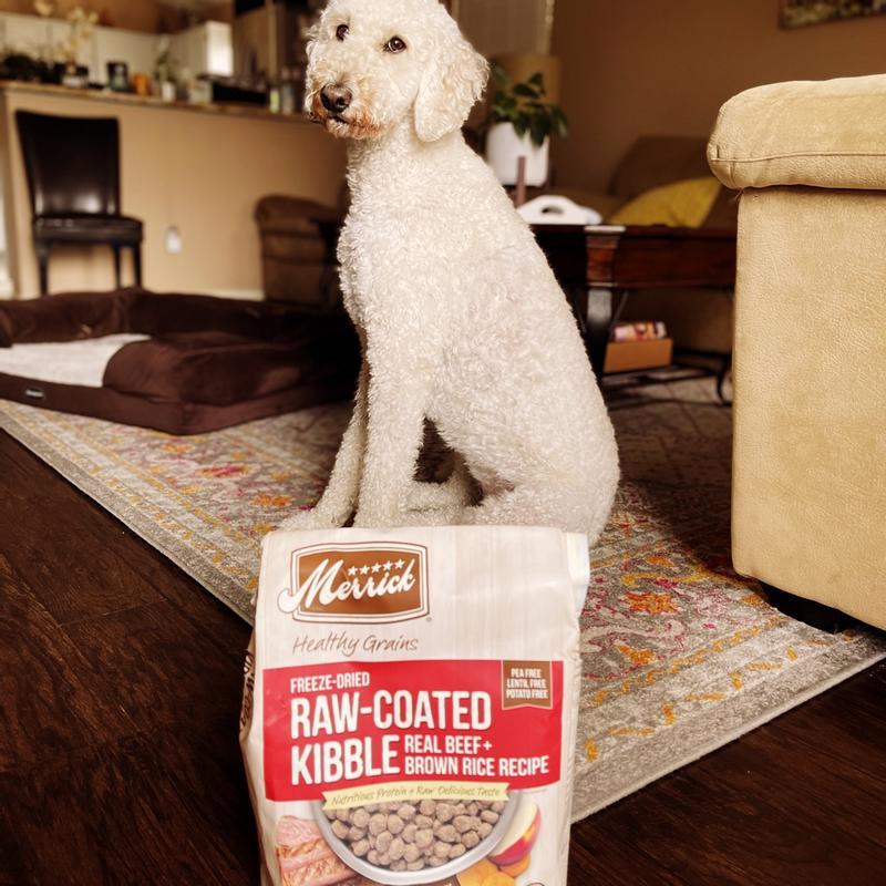 Canidae raw hotsell coated review