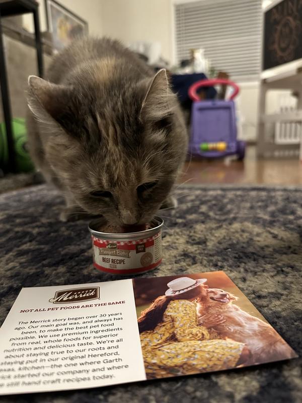 Purrfect Bistro Grain Free Chicken Wet Cat Food Pate Merrick Pet