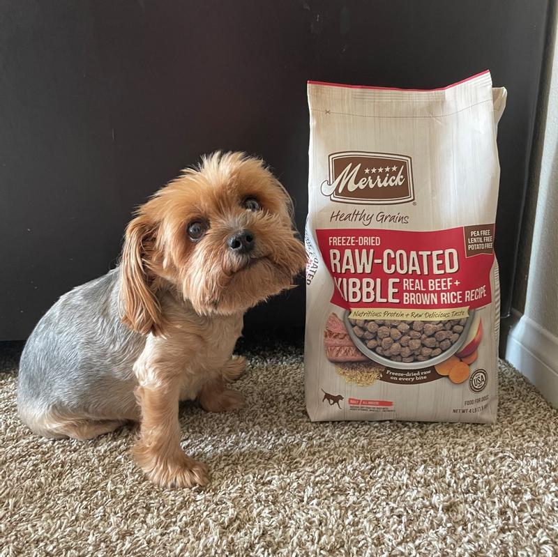 Canidae freeze dried raw coated clearance review