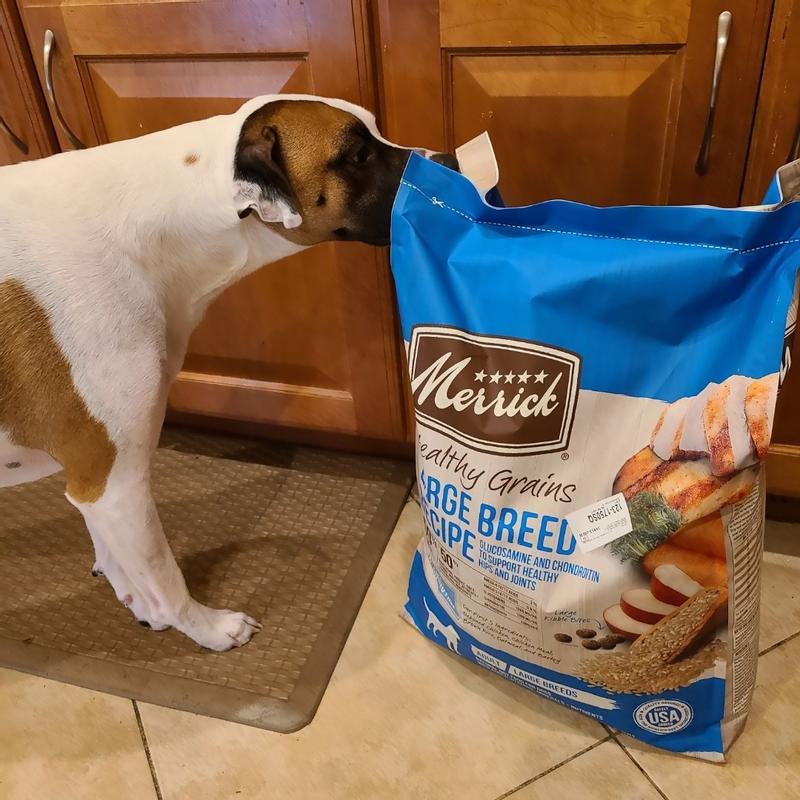 Merrick Healthy Grains Dry Dog Food Large Breed Recipe - 30 lb