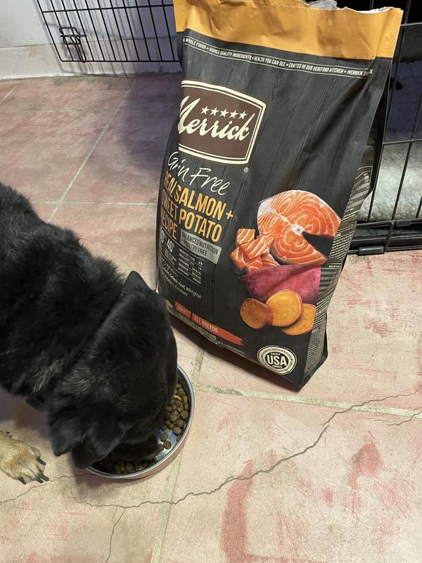 Merrick dog food salmon and sweet potato hot sale