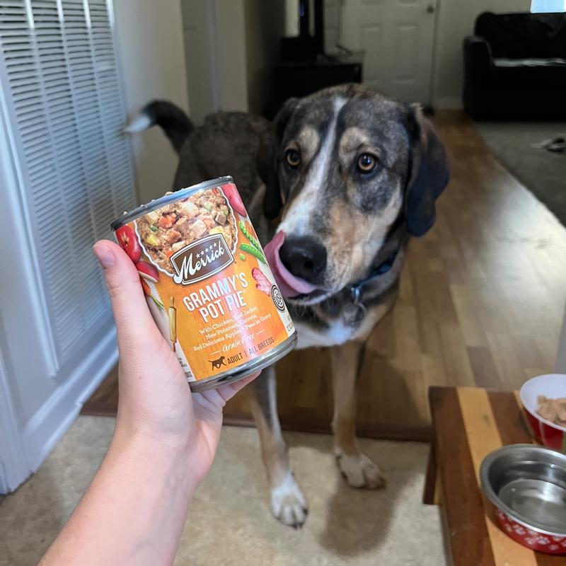 Grammy s Grain Free Chicken Pot Pie Wet Dog Food in Gravy