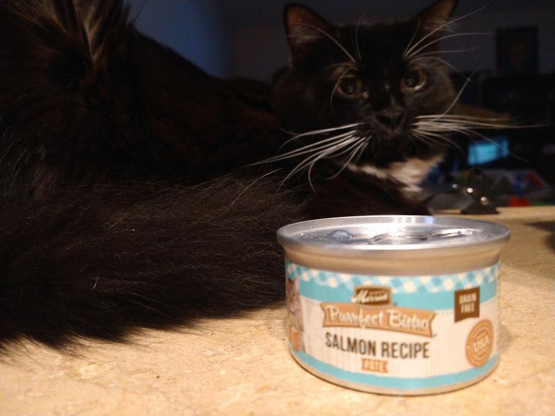 Great choice hotsell cat food review