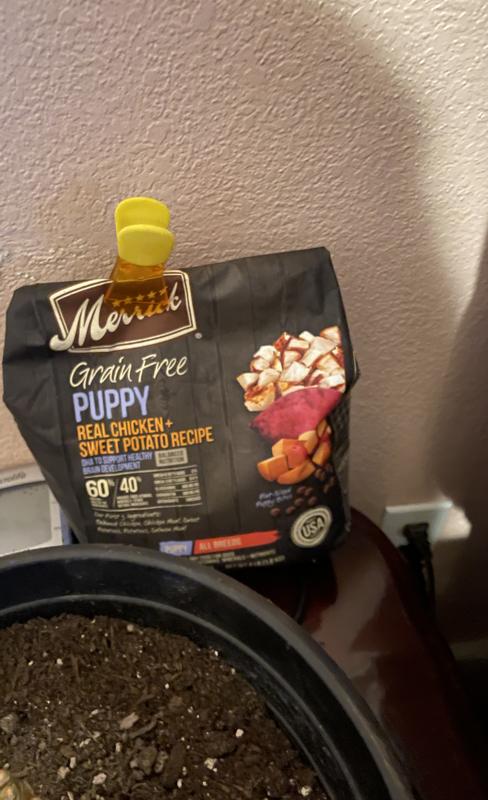 Merrick grain free top puppy food reviews