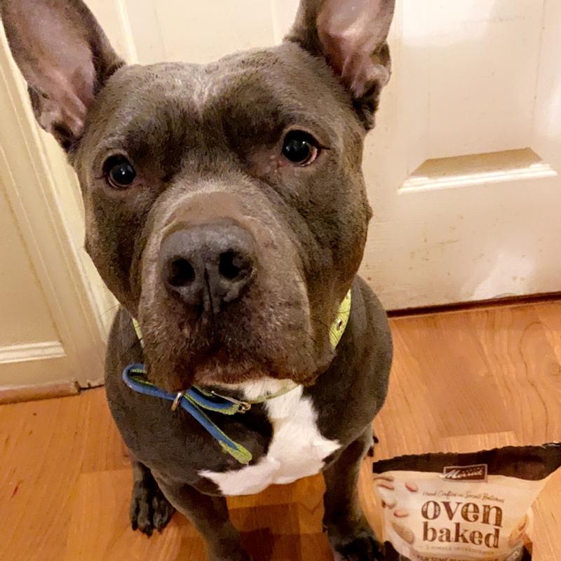 Merrick Oven Baked Paw'some P'nut Butter Cookie with Real Peanut Butter ...