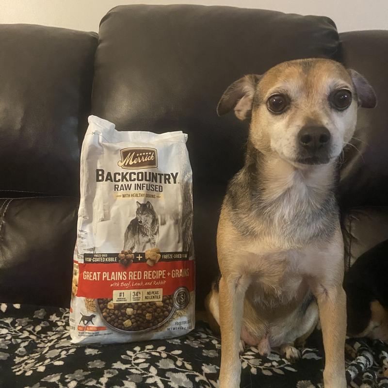 Merrick Backcountry Raw Infused with Healthy Grains Great Plains Red R Petsense