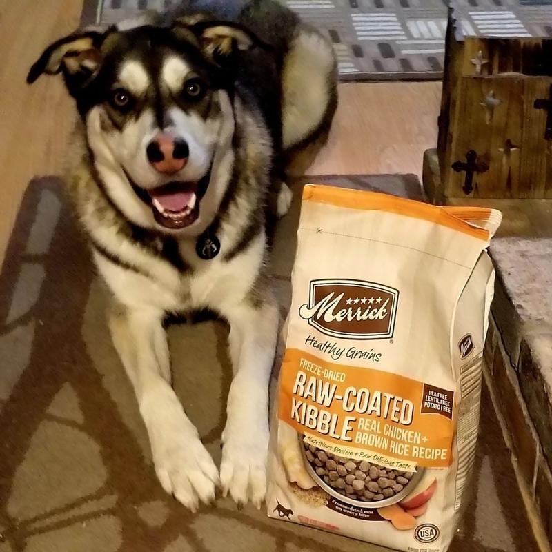 Canidae freeze dried raw coated review sale