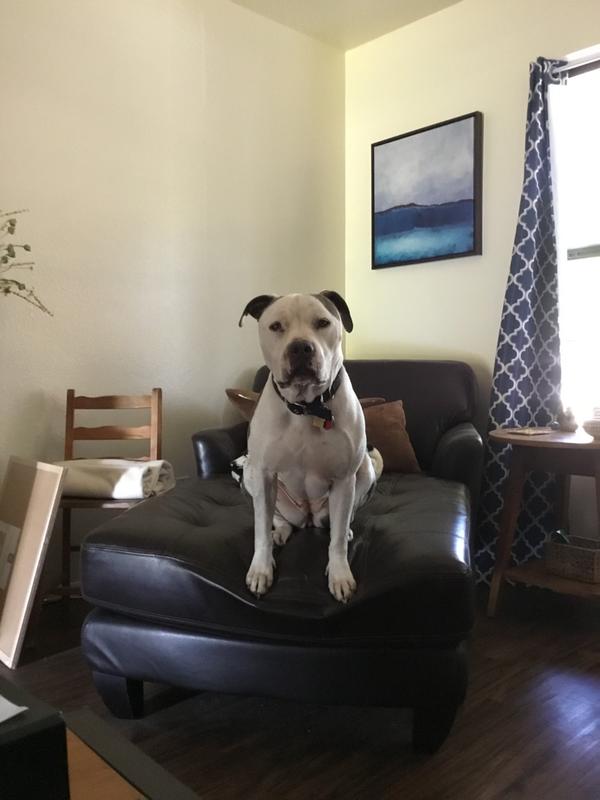 Bella ready for dinner!