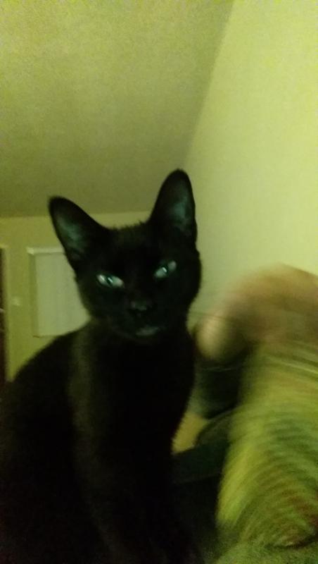 The first day I adopted her