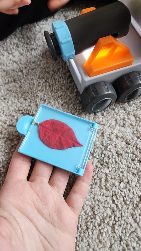 Using the microscope to explore the leaf