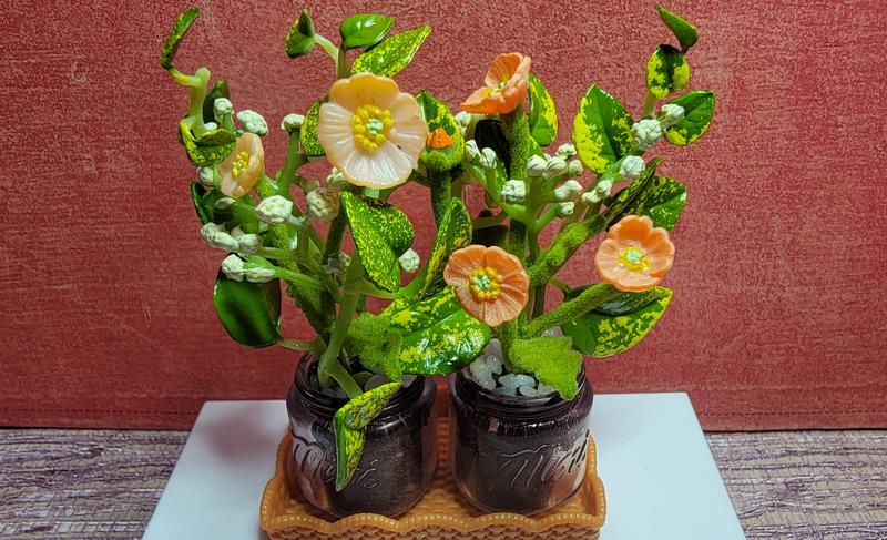 The orchid and a custom I used with some others