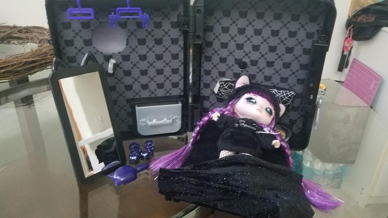 Inside of cat case, not as much room as it looks