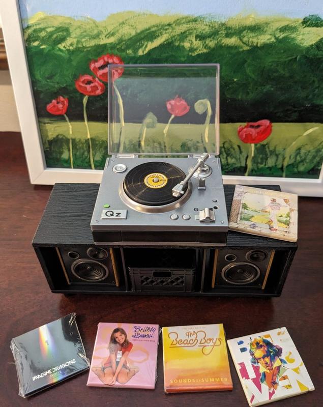 Customer photo for "Cute record sleeves with a storage box"