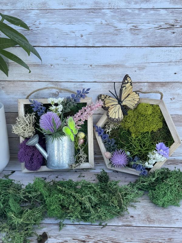 SuperMoss® Purple & Green Preserved Mixed Moss | Michaels