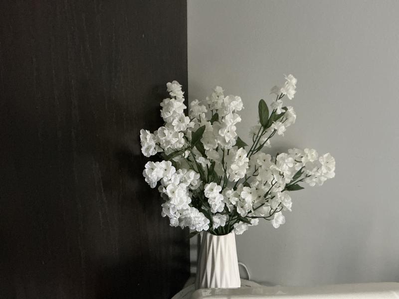 Cream Baby's Breath Double Ruffle Spray by Ashland® | Michaels