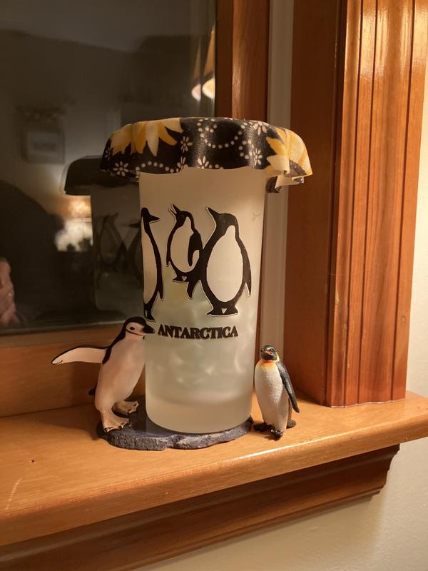 Safari Ltd® Chinstrap Penguin | Michaels