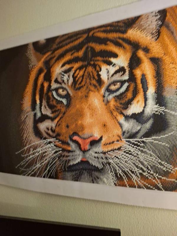 Kit Peinture Diamant 5D - Tigre Lask Par Diamondmosaic - Toile, Strass, Outils Inclus