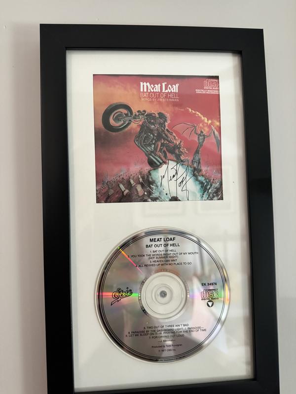 Michaels cd hot sale frame