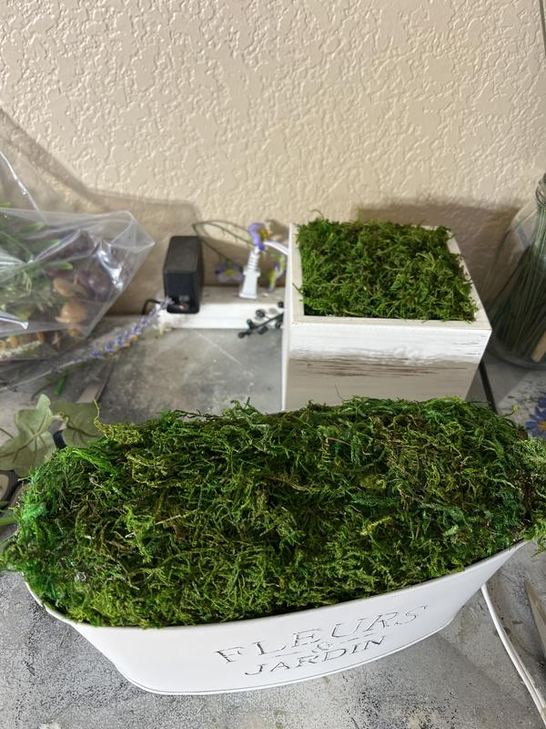 SuperMoss® Preserved Forest Moss
