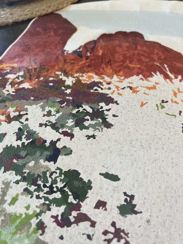 Desert Paint-by-Number Kit by Artist's Loft™ Necessities™