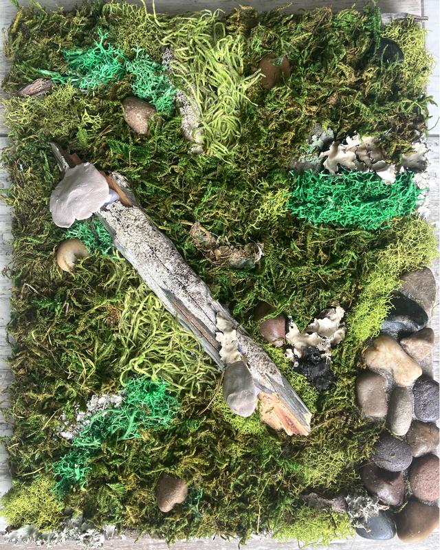 Buy in Bulk - 4 Pack: SuperMoss® Preserved Forest Moss | Michaels