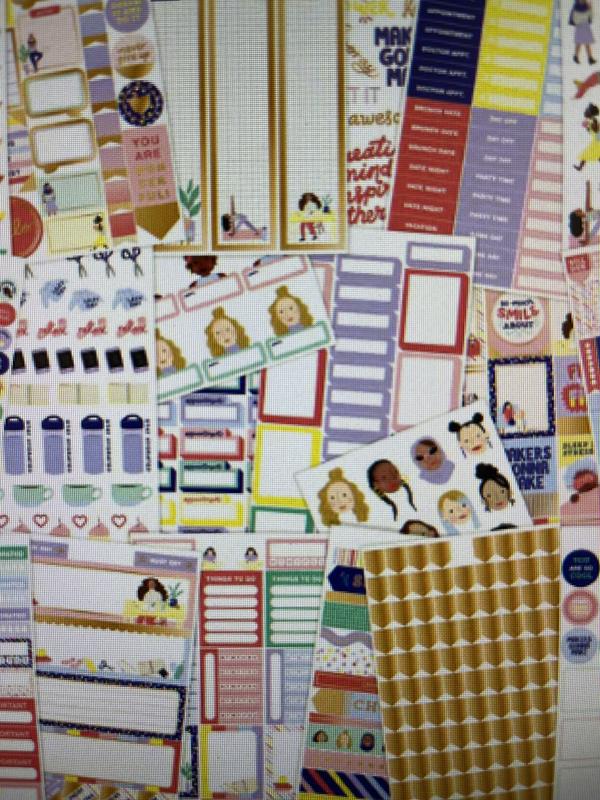 Planner Friends Sticker Book by Recollections™ 799 PC NEW 