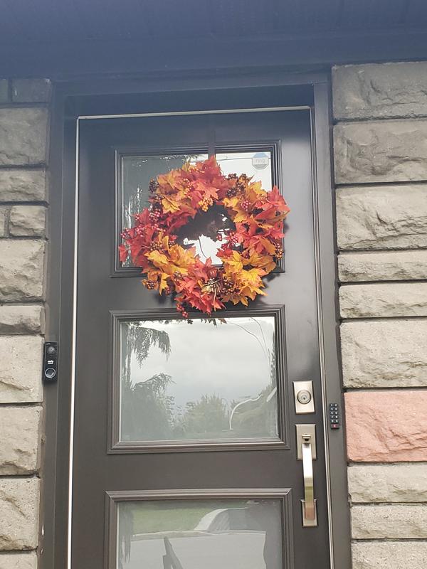 18 Grapevine Wreath by Ashland®