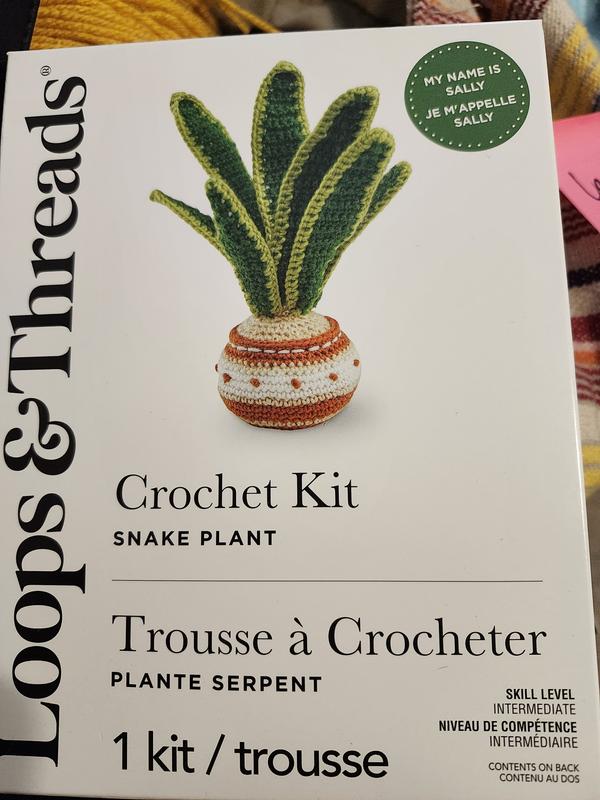 garden croton plant Croton Gold Dust, Live Tropical Plant indoor or Outdoor