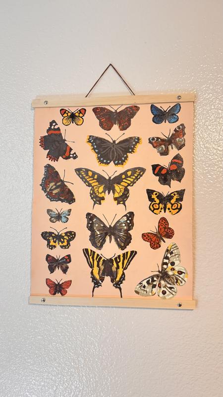 Butterflies Paint-by-Number Kit by Artist's Loft® | Michaels