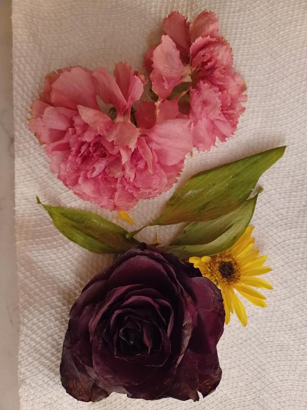 Activa Flower Drying Art Silica Gel | Michaels