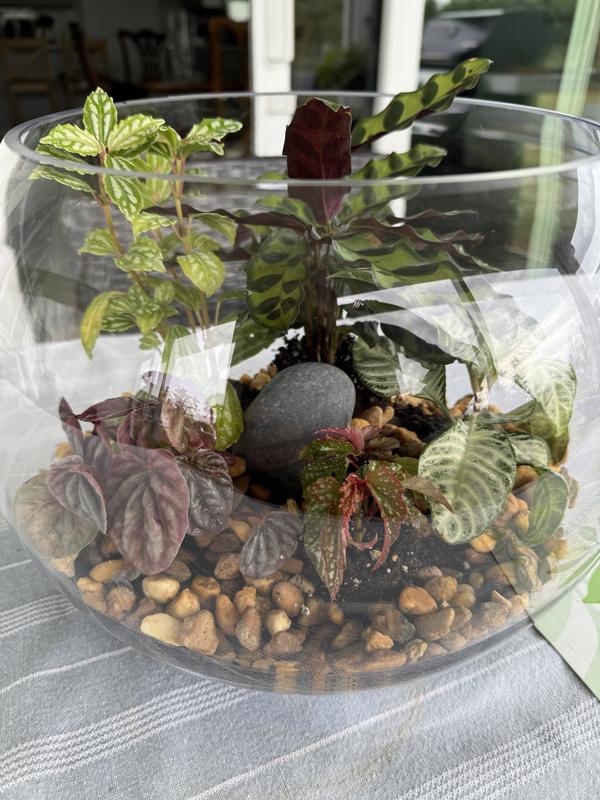 Glass Bubble Ball Bowl by Ashland®, Size: 10