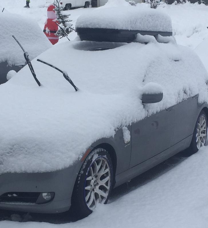 They go me through 15 to 20cms of snow easily