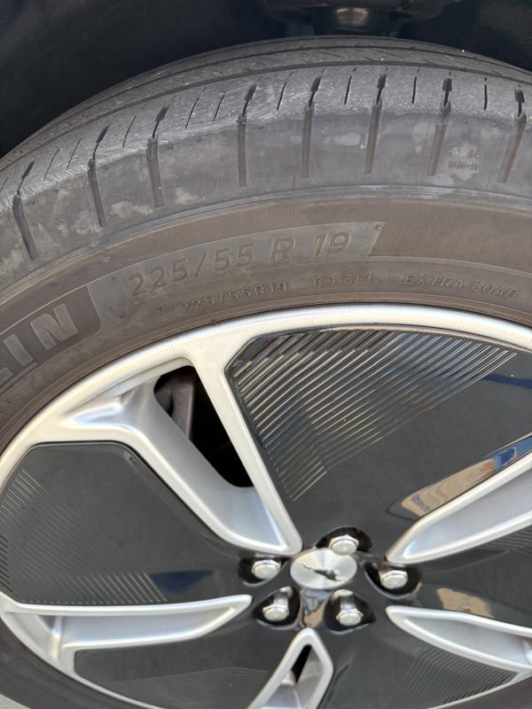 Photo - commentaire 6.