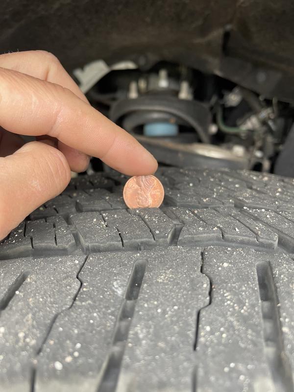 Photo - commentaire 7.