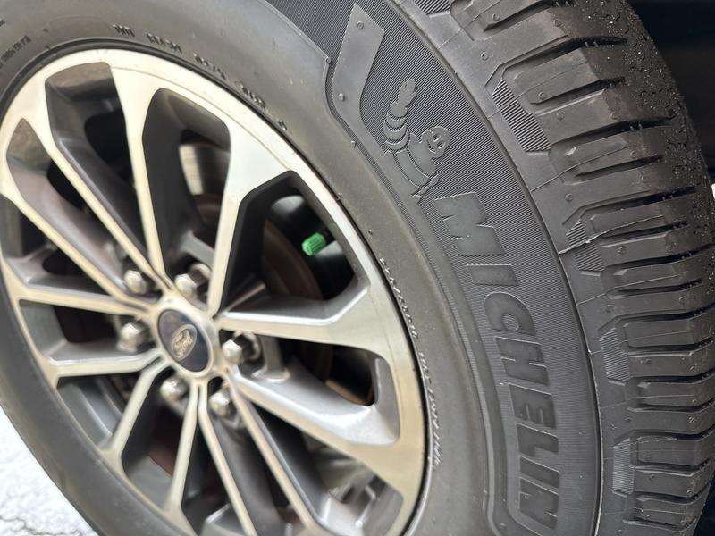 Old defender 1s before replacement.