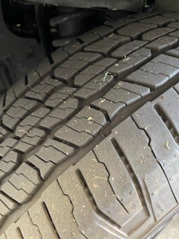 Photo - commentaire 1.