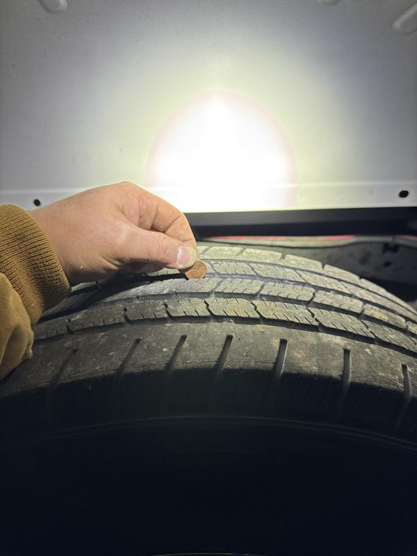 Photo - commentaire 6.