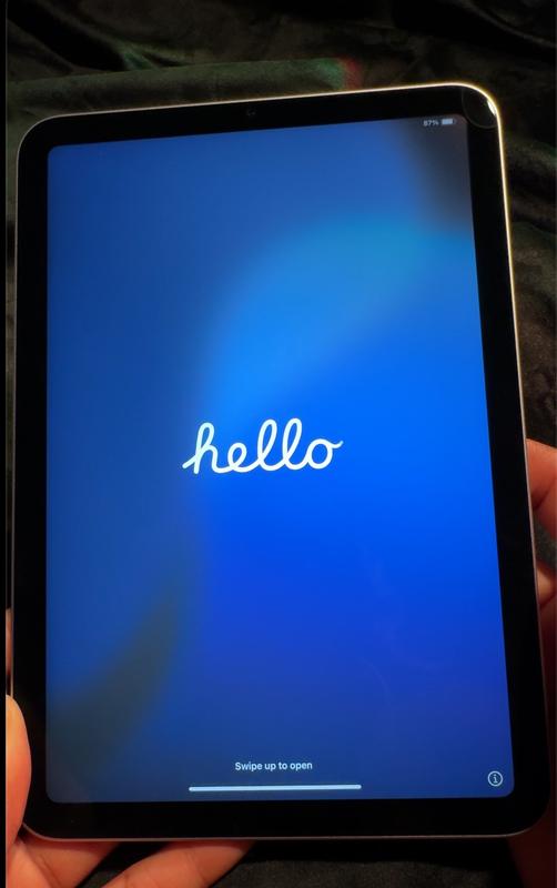 Apple iPad mini 8.3