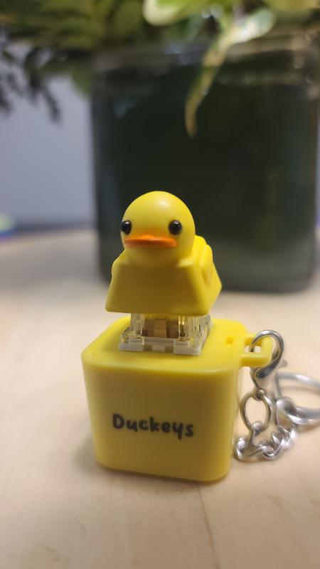 Duckeys Quacking Fidget Toy イエロー Quackey Fidget Toy – The Quirky Quacking Stress Reliever! – DuckeyCaps