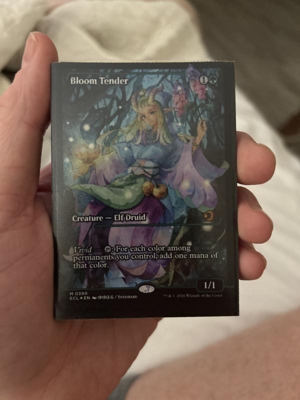 konosuba booster box english Amazon.com: Magic: the Gathering Lorwyn Eclipsed - Play Booster Box main image 1