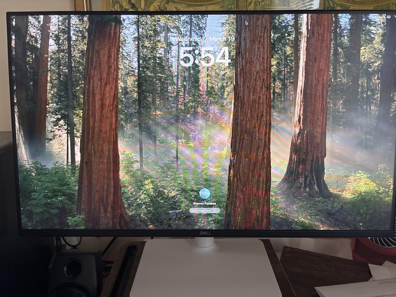 Amazon.com: Dell S2425HS Monitor - 23.8-inch Full HD