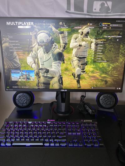 ASUS TUF Gaming VG259QM 24.5 ASUS TUF Gaming VG259QM 24.5