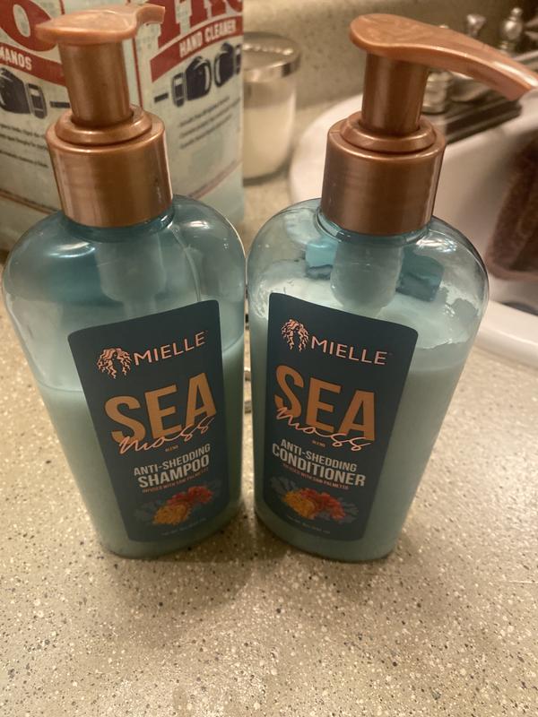 Sea Moss Shampoo – MIELLE