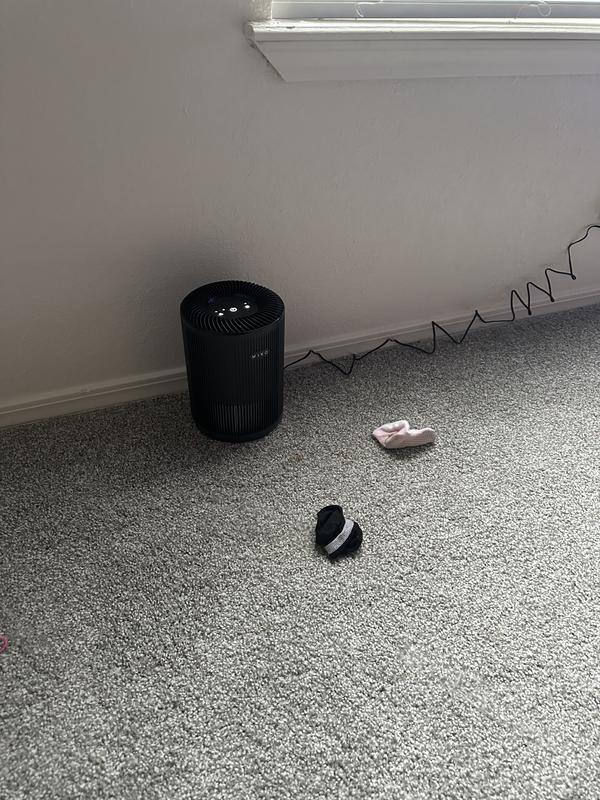 My new air purifier