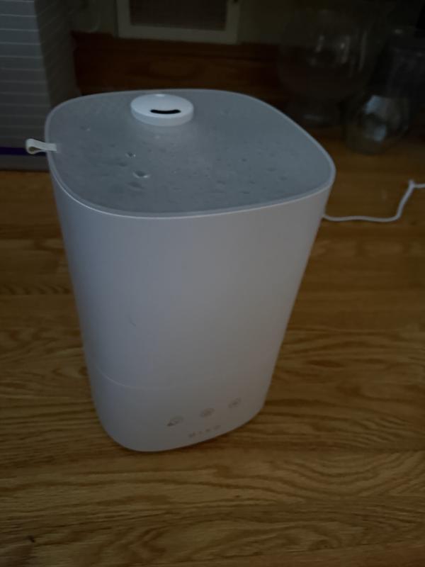 Mizo humidifier