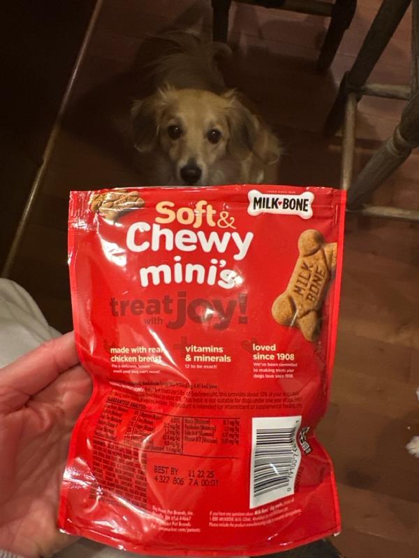 dachshund royal canin dog food Royal Canin