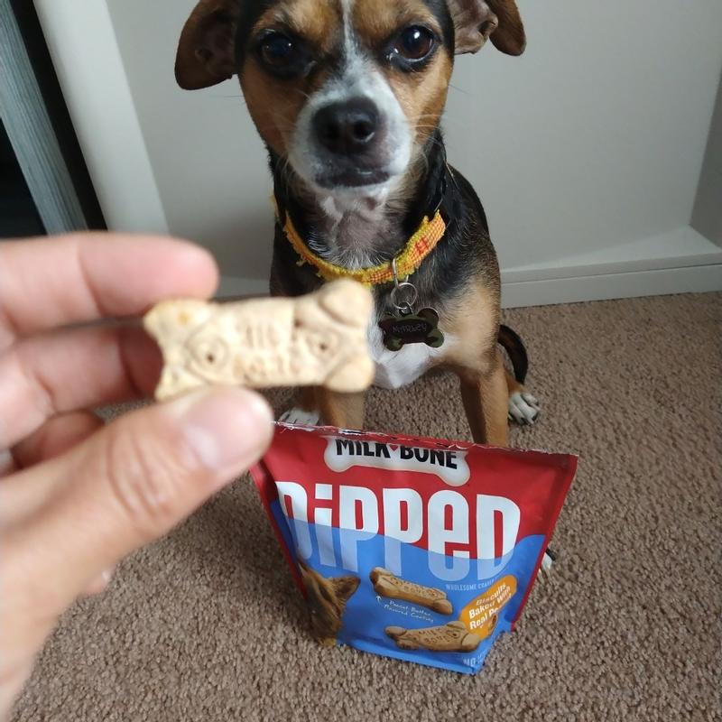 Are milk bones outlet bad for my dog