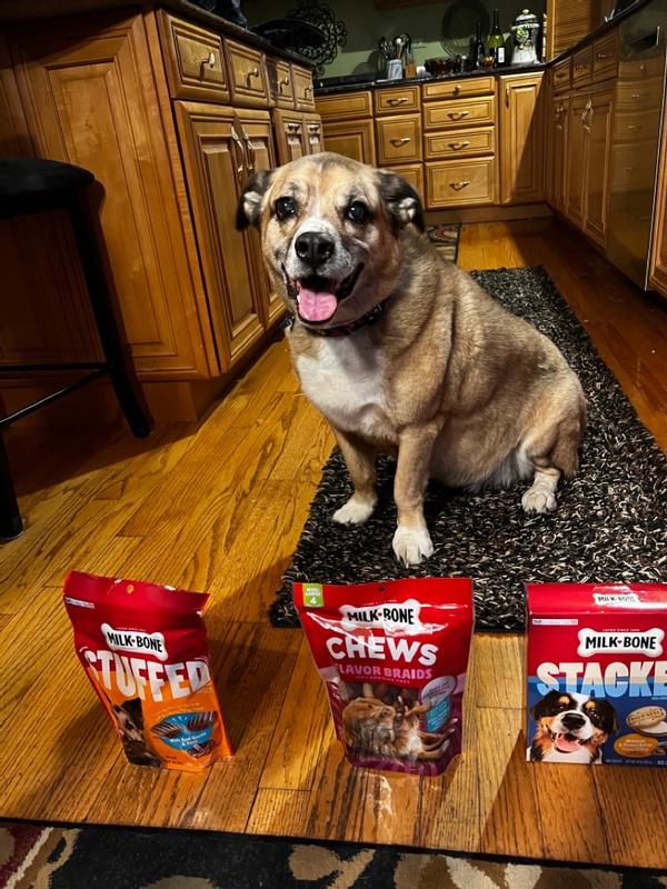 JM Smuckers Crunchy Treats For Dog Bacon Flavor In The Pet