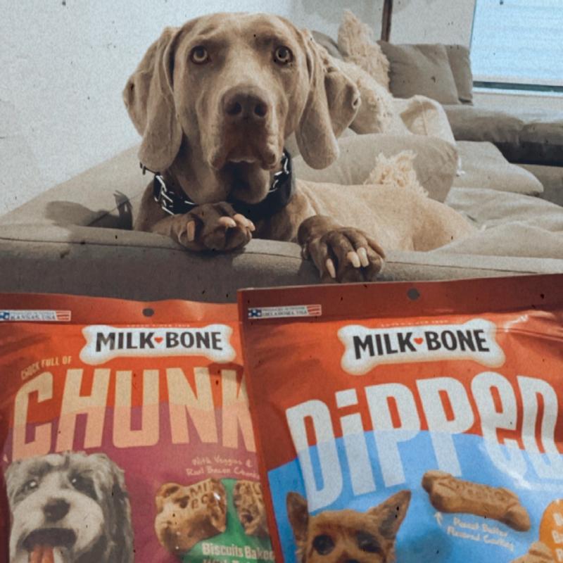 Who Makes Chuck Wagon Dog Food